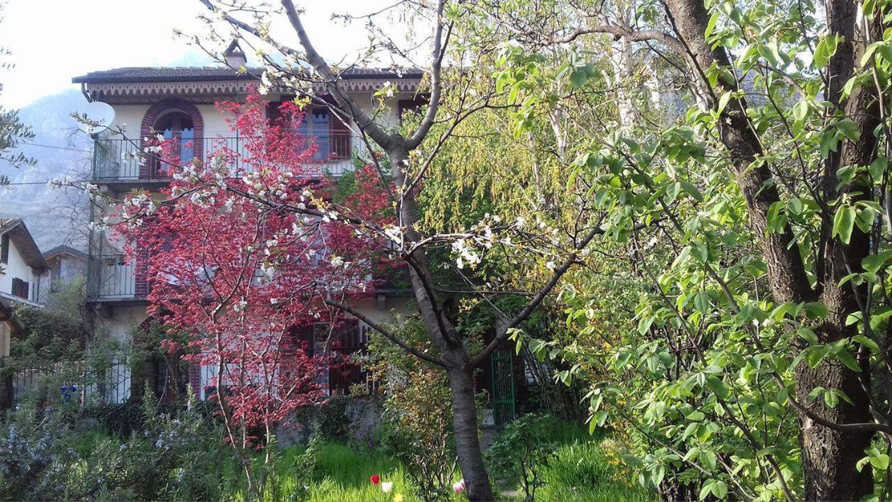 Il Giardino Dei Merli Bussoleno Εξωτερικό φωτογραφία