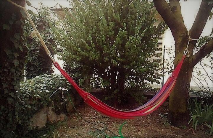 Il Giardino Dei Merli Bussoleno Εξωτερικό φωτογραφία